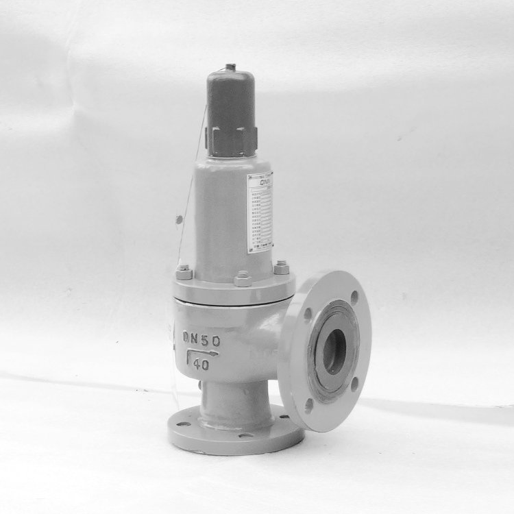  Ammonia safety valve