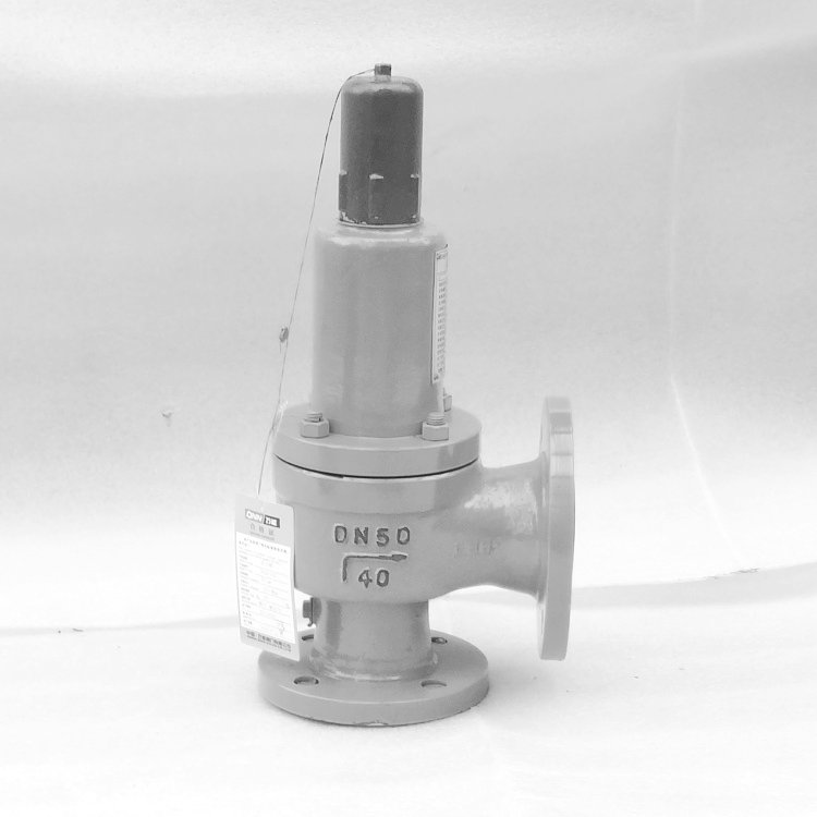  Safety valve for ammonia