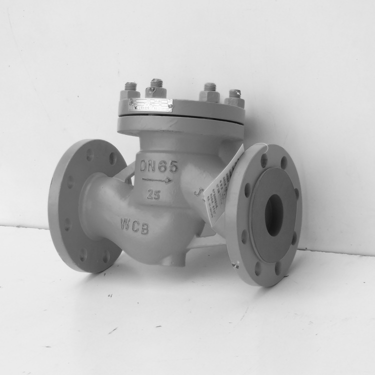  Check valve for ammonia