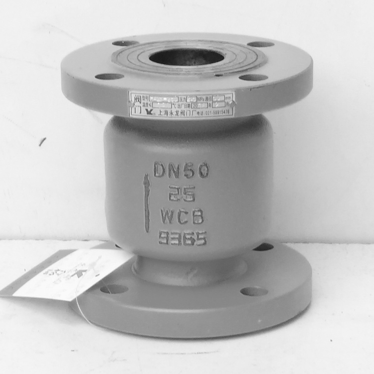  Ammonia check valve
